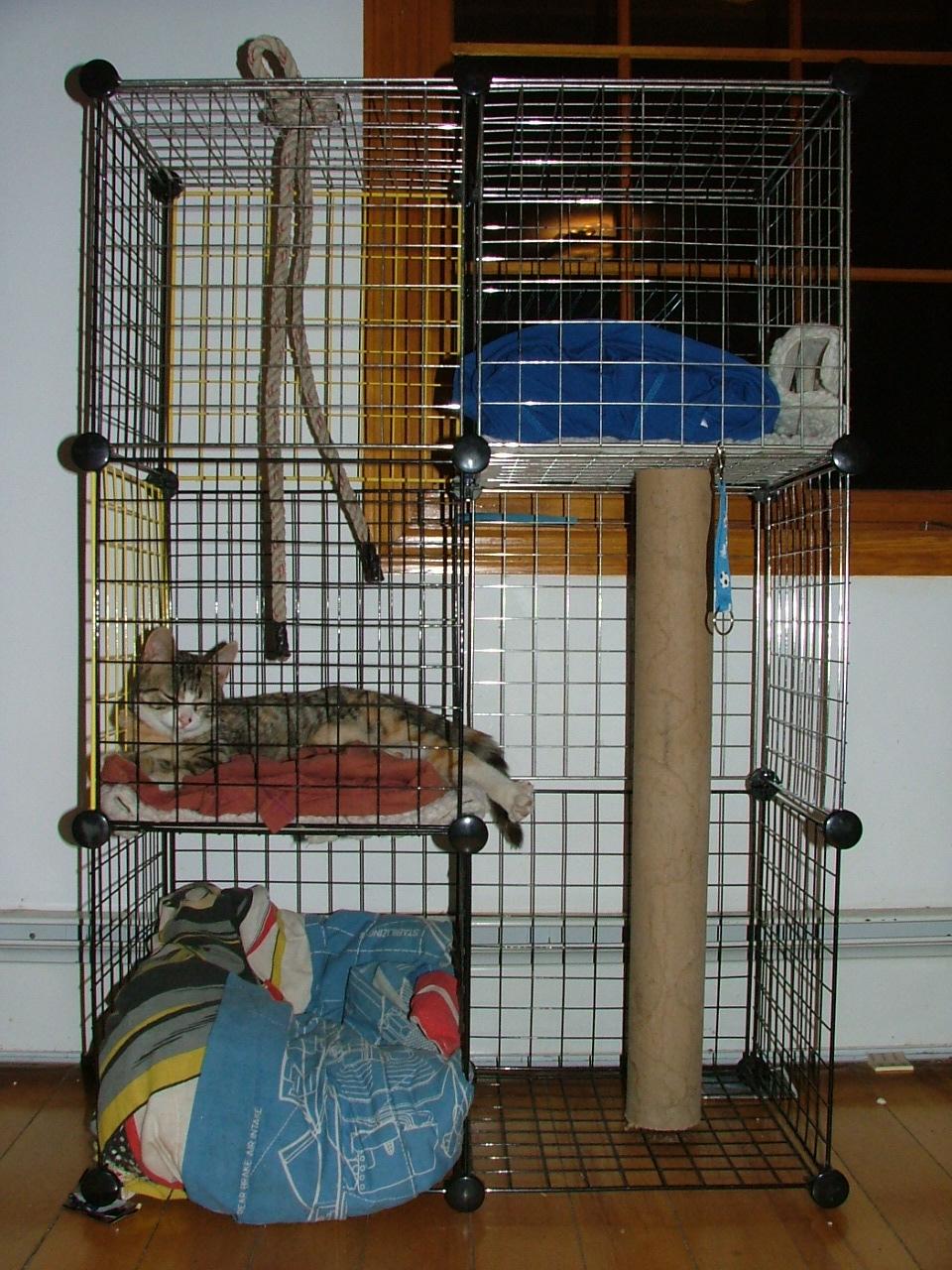 Sleeping in the condo