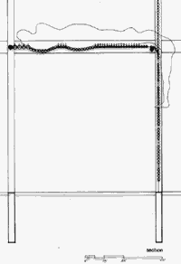 section