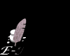 Email Logo